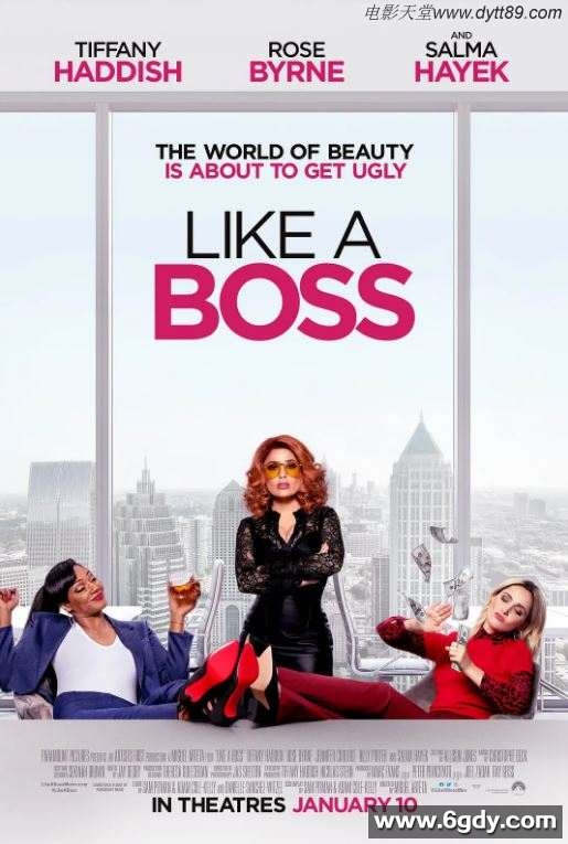 2020年美国4.9分喜剧片《姐妹老板》BD中字迅雷下载