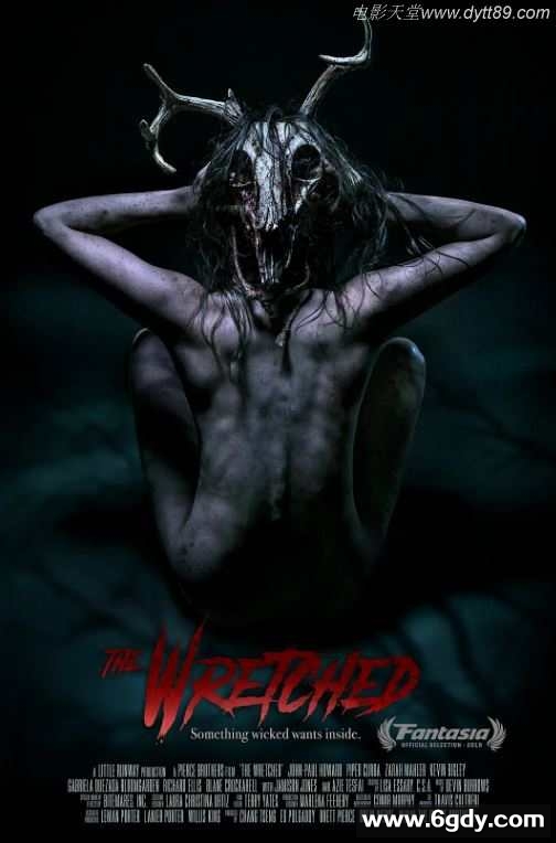 2019年美国惊悚片《森林恶鬼》BD中英双字迅雷下载