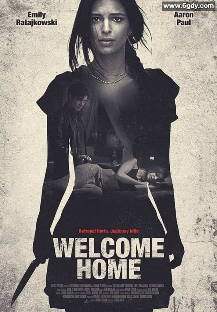 2018年美国5.2分惊悚片《欢迎回家》BD中字迅雷下载