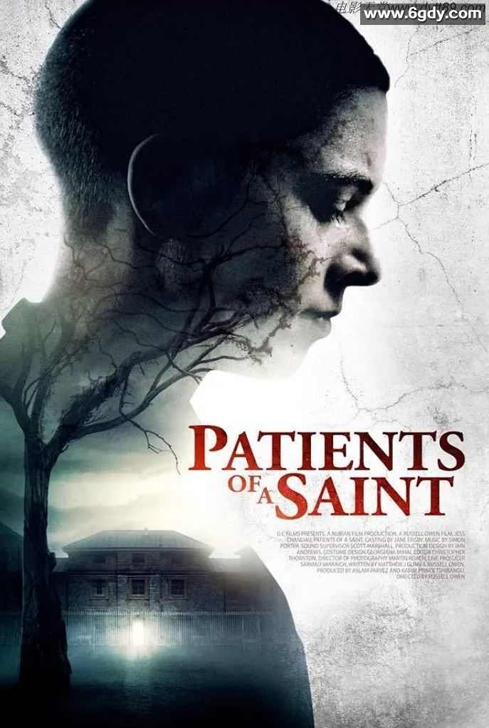 2019年英国4.8分恐怖片《零号犯人》BD中字迅雷下载