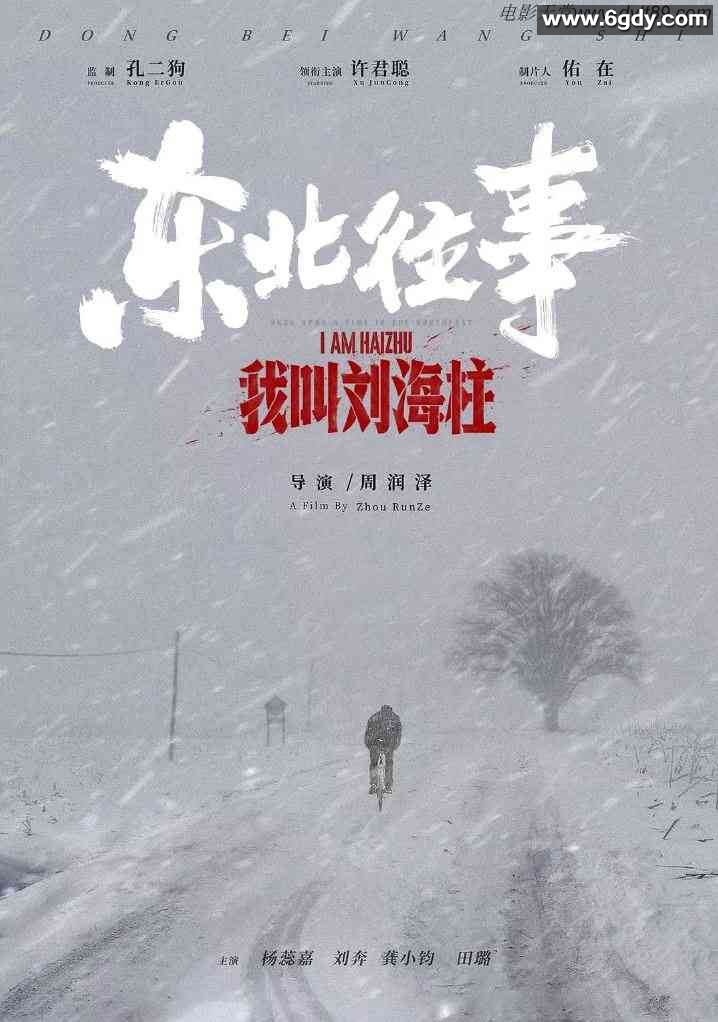 2020年国产许君聪喜剧片《东北往事：我叫刘海柱》HD国语中字迅雷下载