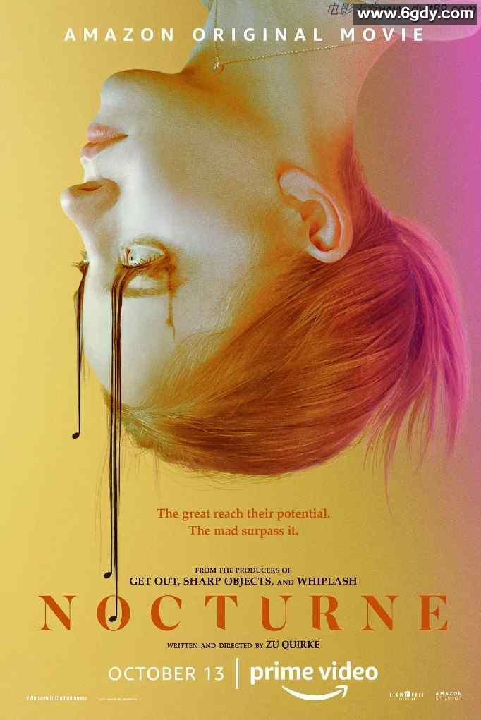 2020年美国6.0分惊悚恐怖片《夜曲》BD中字迅雷下载