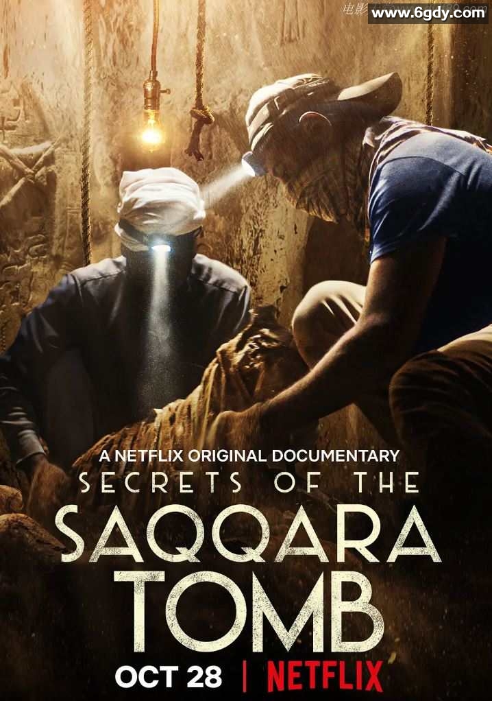 2020年美国纪录片《塞加拉陵墓揭秘》BD中字迅雷下载