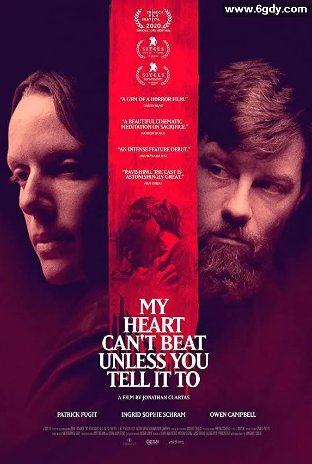 2020年美国剧情片《我的心跳你做主》BD中英双字迅雷下载