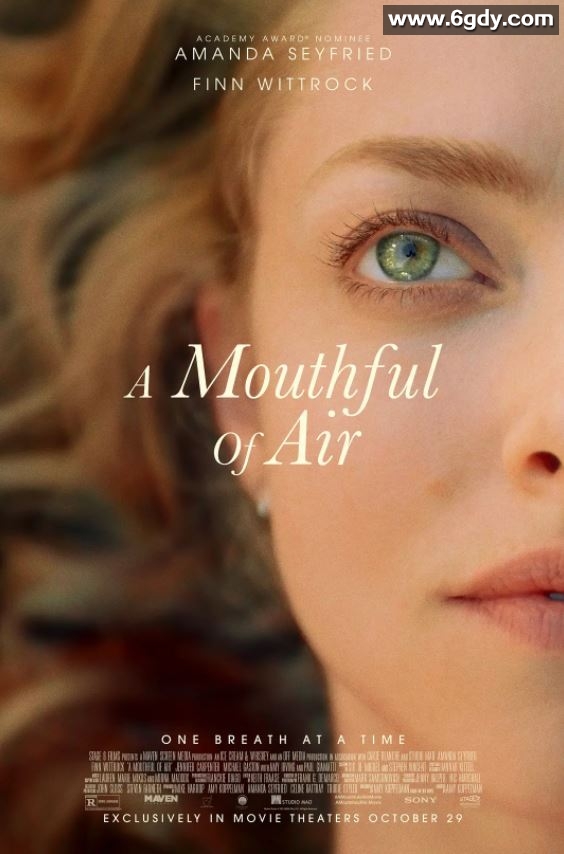 2021年美国剧情片《如释重负》BD英语中字迅雷下载