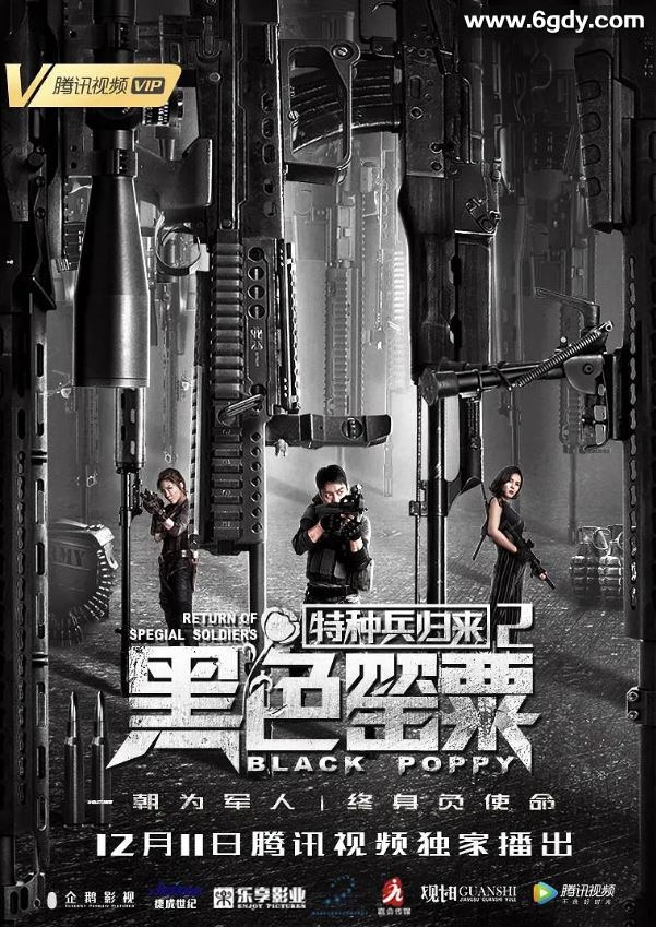 2018年国产动作片《特种兵归来2：黑色罂粟》HD国语中字迅雷下载