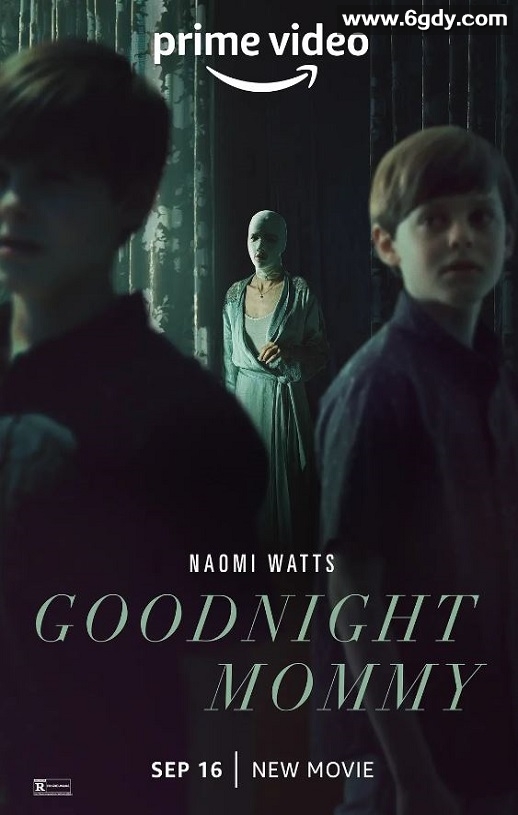 2022年美国悬疑惊悚片《晚安妈咪》HD中英双字迅雷下载