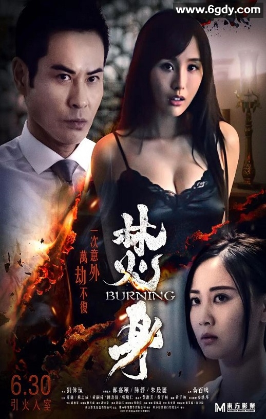 2022年中国香港悬疑惊悚片《焚情》BD国粤双语中字迅雷下载