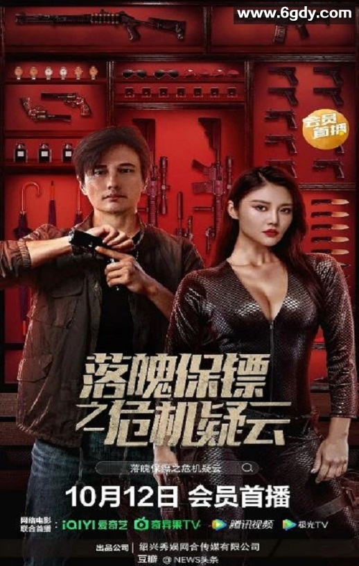 2022年国产动作片《落魄保镖之危机疑云》HD国语中字迅雷下载