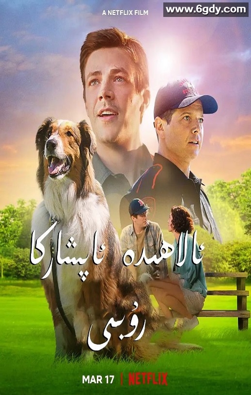 2022年美国7.3分剧情儿童片《义犬救主》BD中英双字迅雷下载