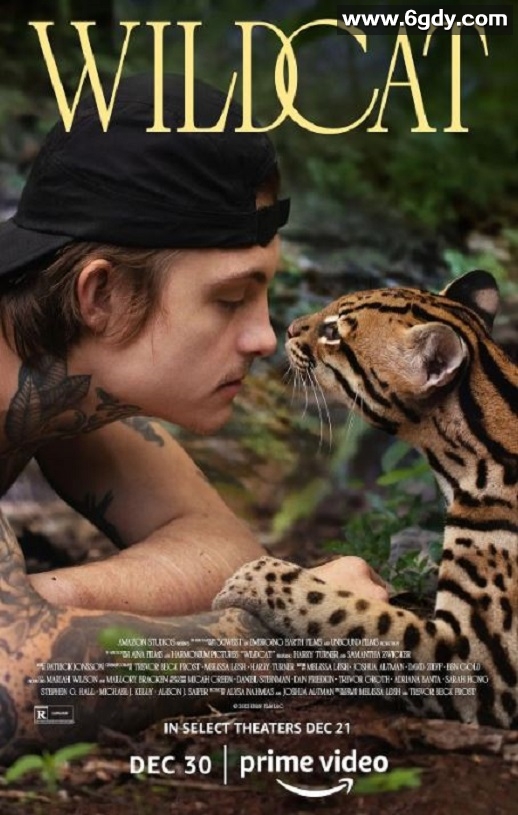 2022年美国纪录片《野猫》BD英语中字迅雷下载