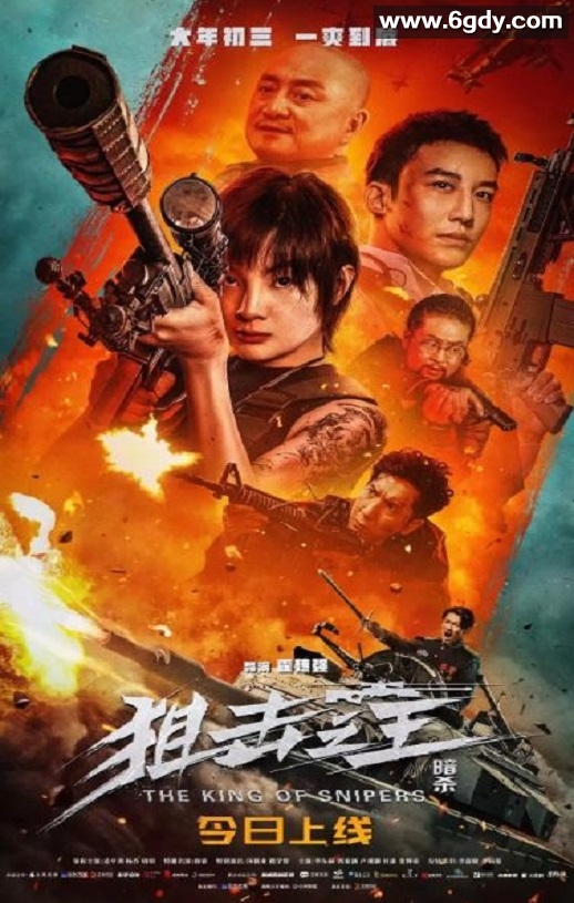 2023年国产动作犯罪片《狙击之王：暗杀》HD国语中字迅雷下载