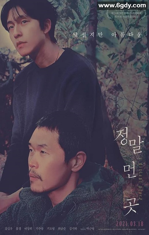 2020年韩国6.7分爱情片《远方》BD韩语中字迅雷下载