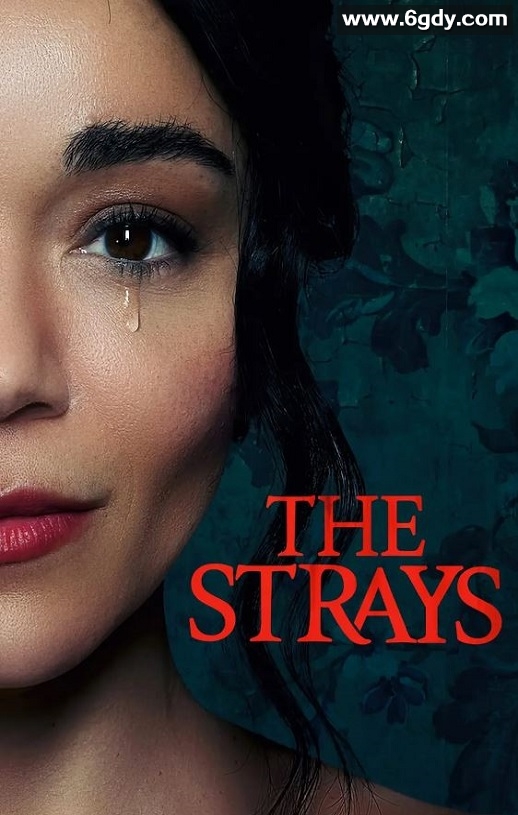 2023年英国惊悚片《流浪者》BD中英双字迅雷下载