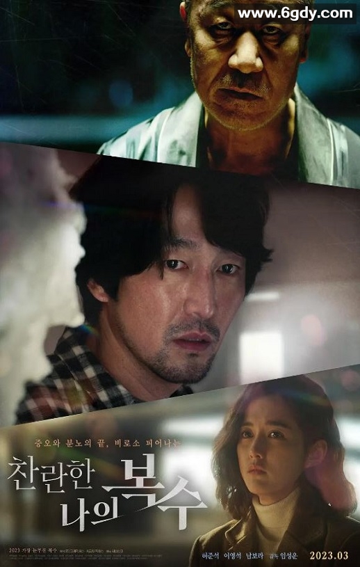 2023年韩国剧情片《我灿烂的复仇》BD韩语中字迅雷下载