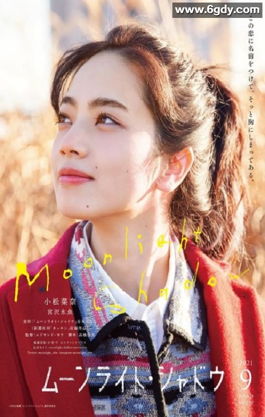 2021年日本5.1分剧情片《月影》BD日语中字迅雷下载