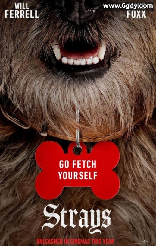 2023年美国7.4分喜剧片《流浪狗》HD中英双字迅雷下载