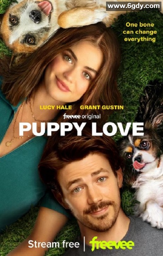 2023年美国喜剧片《小狗之爱》BD中英双字迅雷下载