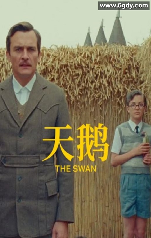 2023年美国喜剧片《天鹅》BD中英双字迅雷下载