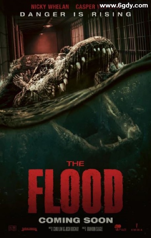 2023年美国惊悚片《致命洪灾》BD中英双字迅雷下载