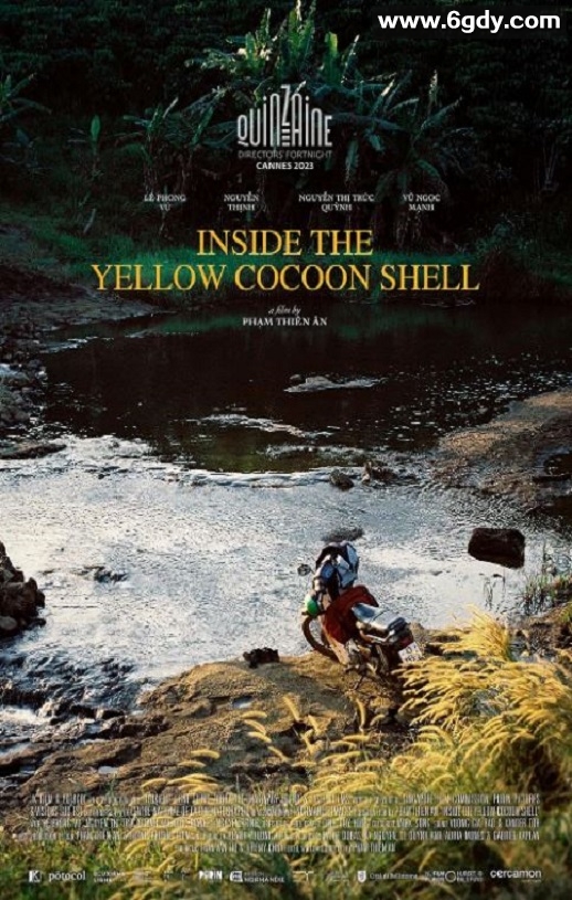 2023年越南剧情片《金色茧房》BD越南语中字迅雷下载