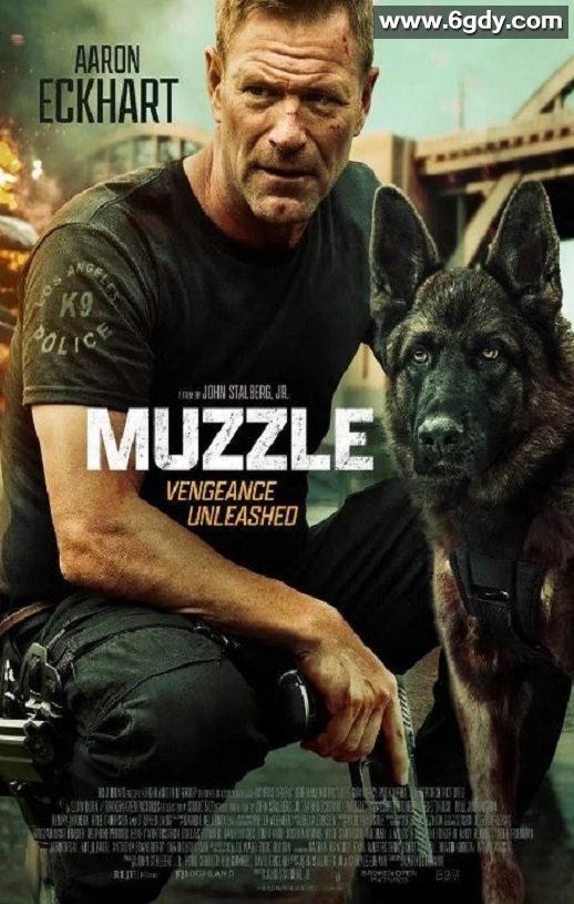 2023年美国惊悚片《神探忠犬》HD中英双字迅雷下载