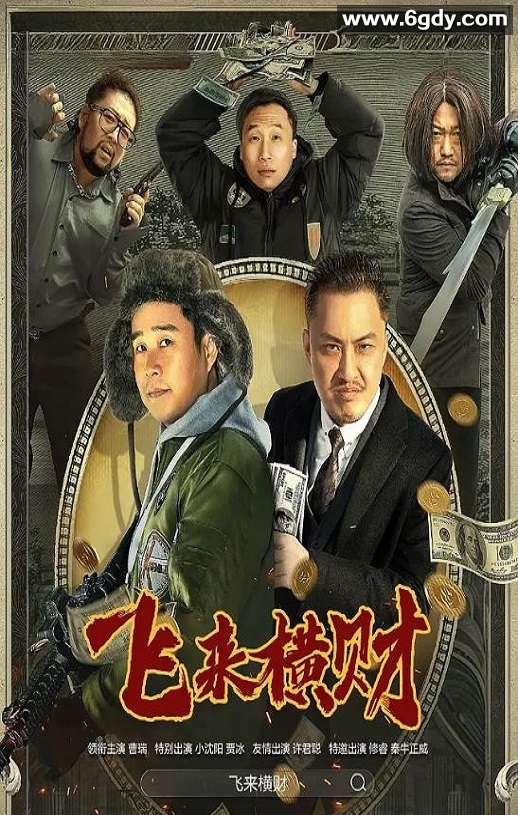 2024年国产喜剧片《飞来横财》HD国语中字迅雷下载