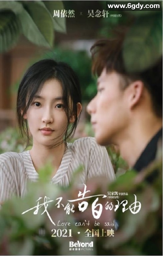 2022年国产爱情片《一直一直都很喜欢你》HD中英双字迅雷下载