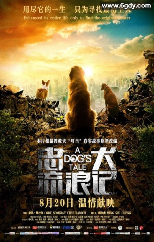 2021年国产冒险片《忠犬流浪记》HD国语中英双字迅雷下载