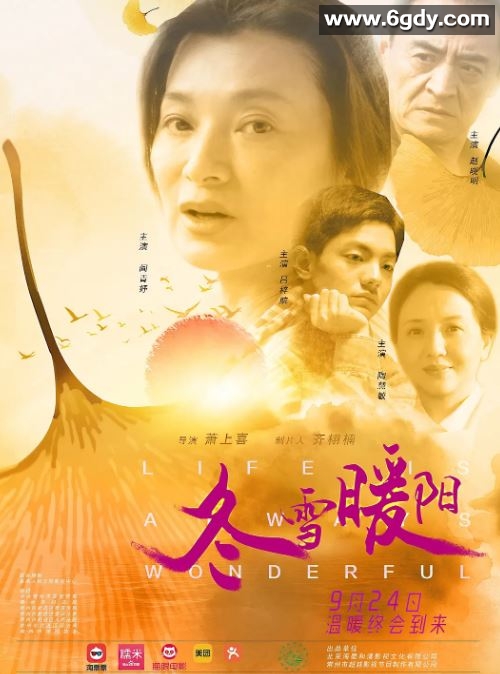 2021年国产犯罪片《冬雪暖阳》HD国语中英双字迅雷下载