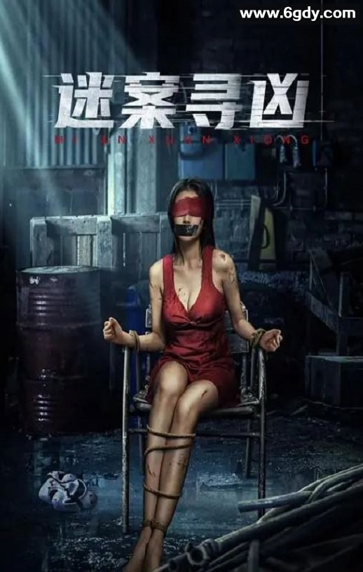 2024年国产悬疑片《迷案寻凶》HD国语中字迅雷下载