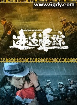 2024年国产犯罪片《逃逸追踪》HD国语中字迅雷下载