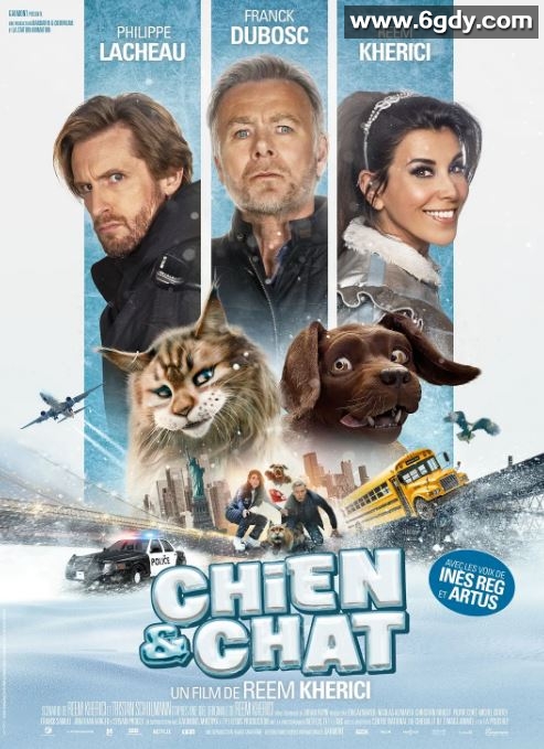 2024年法国喜剧片《猫狗大乱斗》HD法语中字迅雷下载