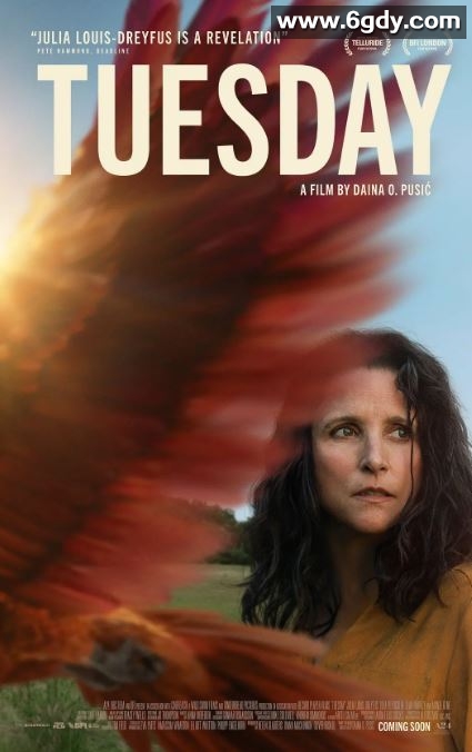 2023年英国奇幻片《星期二》HD中英双字迅雷下载