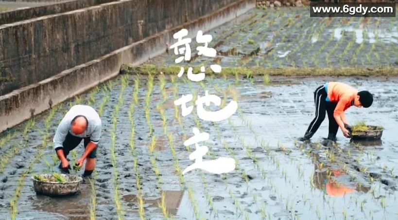 2022年中国台湾纪录片《憨地主》HD国语中字迅雷下载