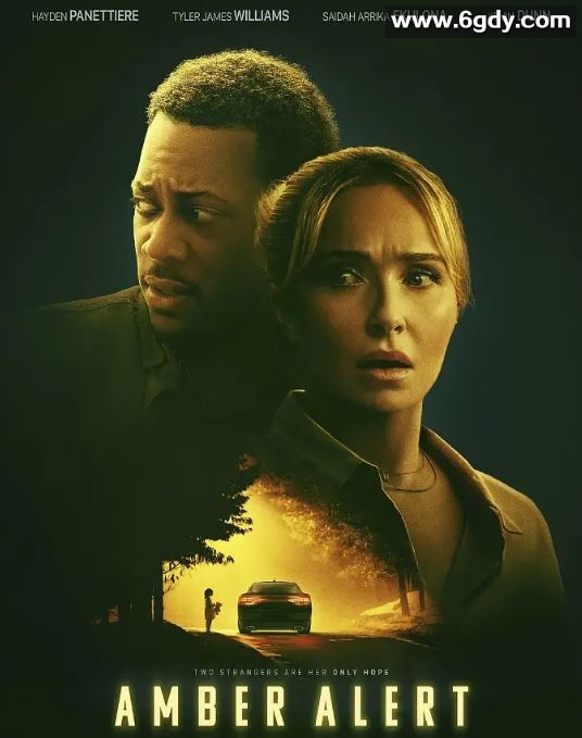 2024年美国惊悚片《琥珀警报》HD中英双字迅雷下载