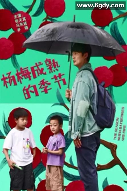 2024年国产剧情片《杨梅成熟的季节》HD中英双字迅雷下载