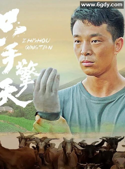 2022年国产传记片《只手擎天》HD国语中字迅雷下载