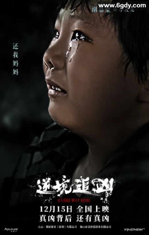 2023年国产悬疑片《逆境追凶》HD国语中英双字迅雷下载