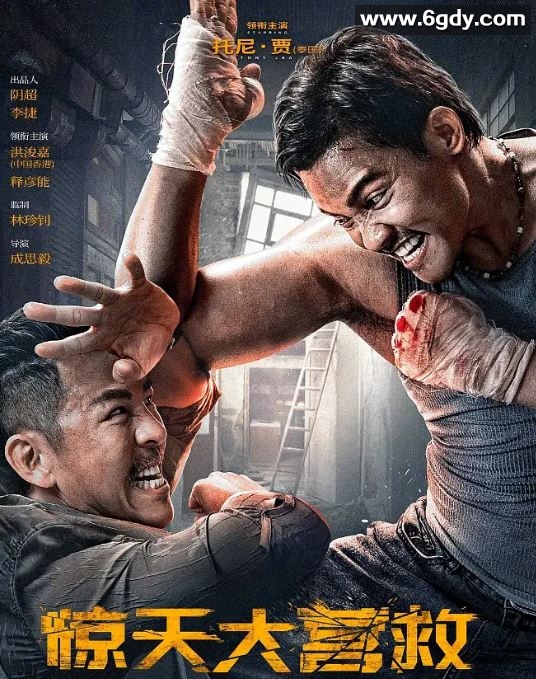 2024年国产动作片《惊天大营救》HD国语中英双字迅雷下载