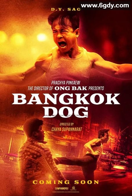 2024年泰国动作片《曼谷战狼》HD英语中字迅雷下载