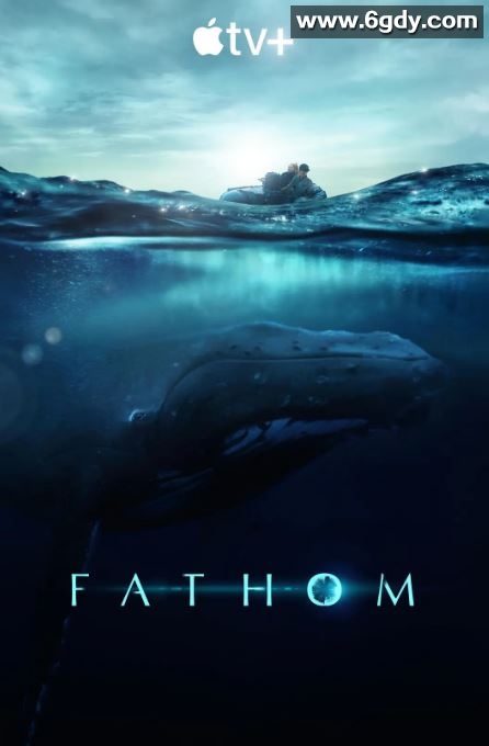 2021年美国纪录片《探寻鲸之音》HD中英双字迅雷下载