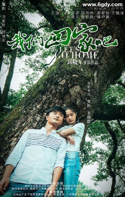 2019年国产剧情片《我们回家吧》HD国语中英双字迅雷下载