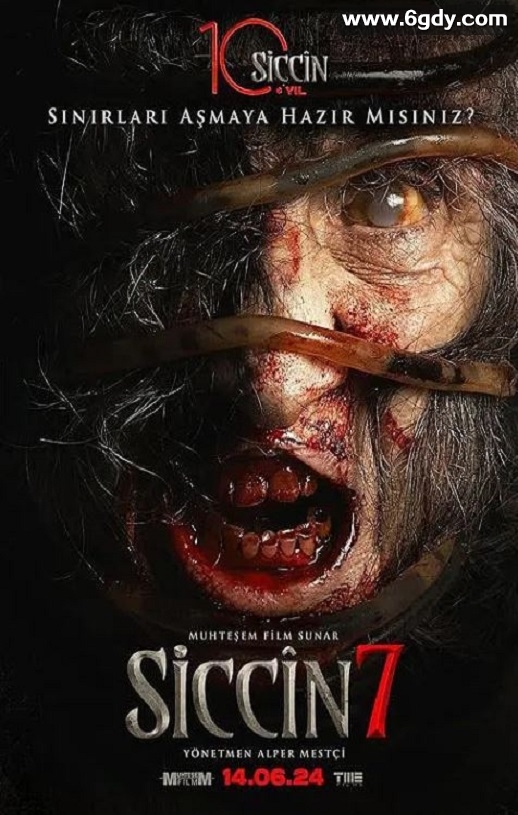 2024年土耳其恐怖片《西辛7》BD土耳其语中字迅雷下载