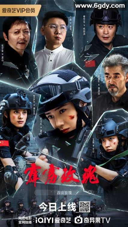 2025年国产剧情片《霹雳玫瑰》HD国语中字迅雷下载