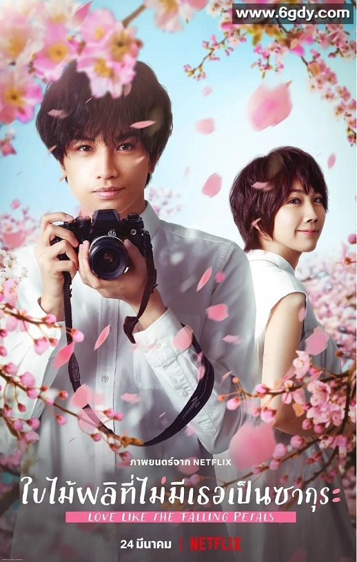 2022年日本6.6分爱情片《我的樱花恋人》HD日语中字迅雷下载