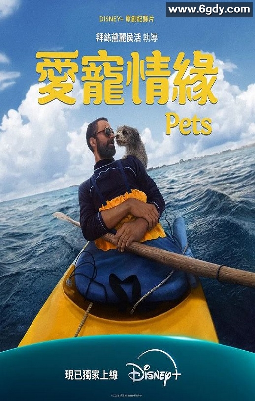 2025年美国纪录片《爱宠情缘》HD英语中字迅雷下载