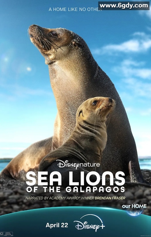 2025年美国纪录片《海狮利奥环岛记》HD英语中字迅雷下载