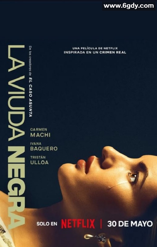 2025年西班牙悬疑片《寡妇游戏》HD西班牙语中字迅雷下载