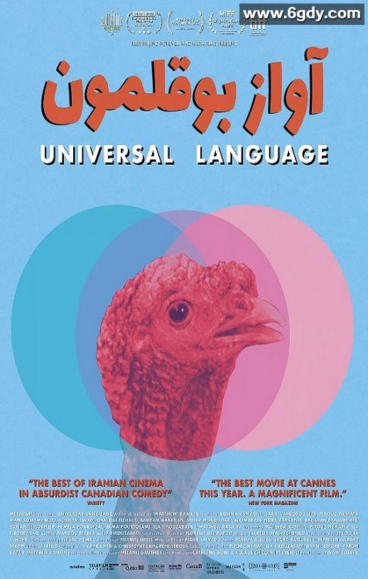 2024年加拿大7.6分剧情片《共同的语言》BD法语中字迅雷下载